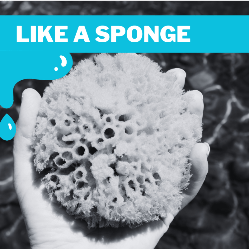 Like a Sponge