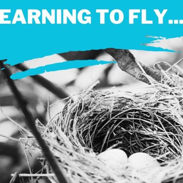 Learning to Fly…